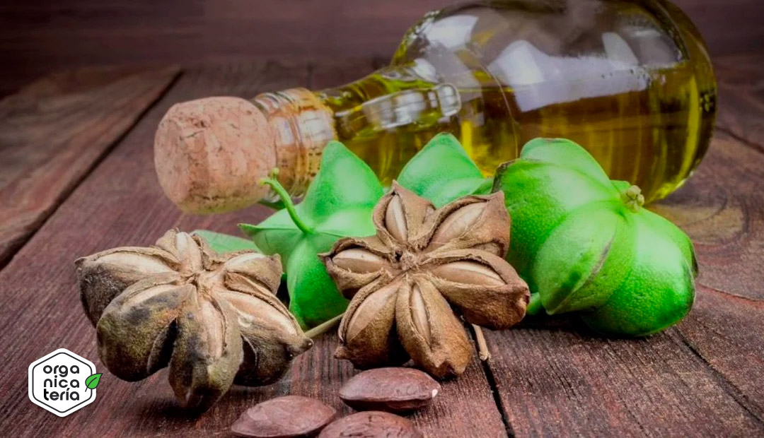 aceite sachainchi